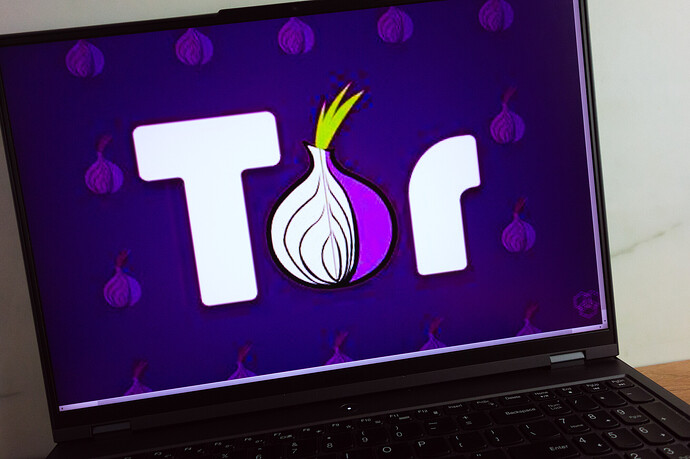 Ein Notebook greift auf das Tor-Netzwerk zu