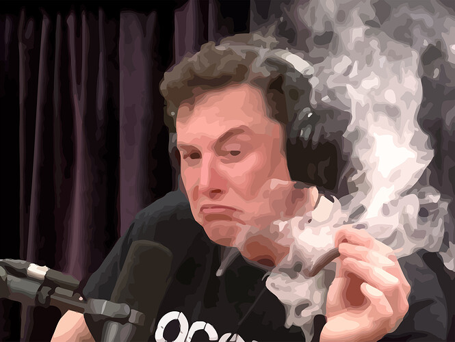 Elon Musk raucht einen Joint