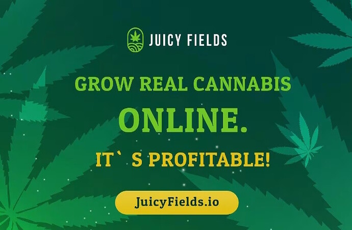 JuicyFields: Cannabis-Betrug zog erneut Razzien nach sich