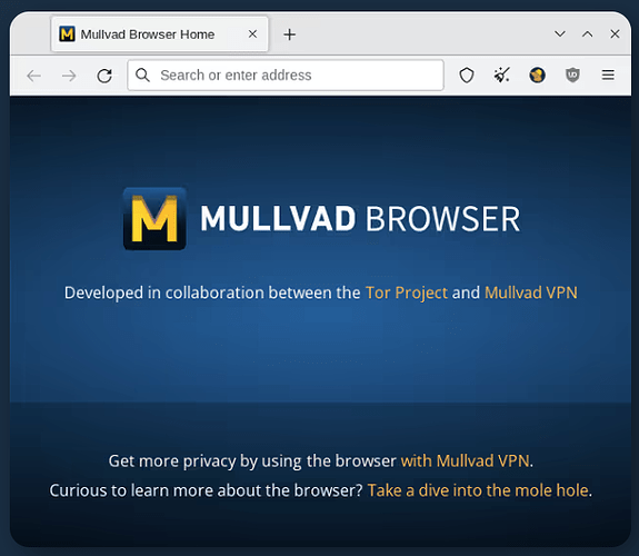 mullvad-browser