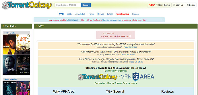 Die Webseite von TorrentGalaxy