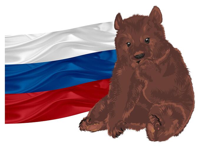 Ein junger brauner Bär sitzt vor einer russischen Fahne