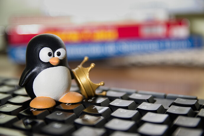 Tux, Figur des Linux Free Software Symbols neben einer Krone auf einer Computertastatur