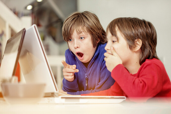 Brüder mit Spaß am Laptop. Bilder mit Kindern gehören nicht ins Netz. (Symbolbild)