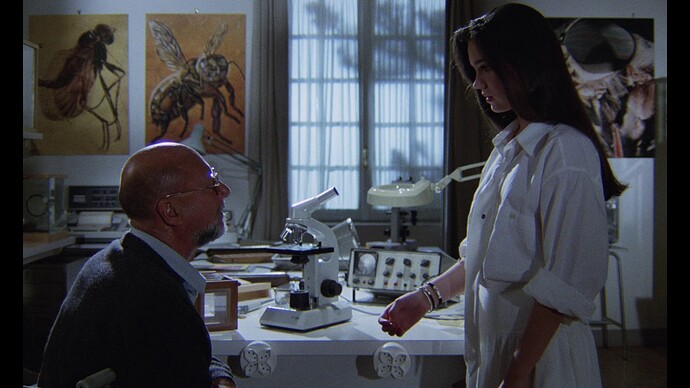 vlcsnap-2021-12-23-20h14m04s089