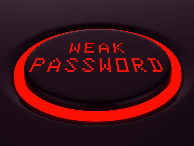 Button mit der Aufschrift "schwaches Passwort". Im Innenministerium wohl Standard.
