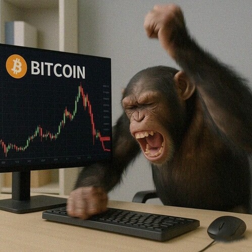 Ein Schimpanse mit Bitcoin-T-Shirt, der mit beiden Händen abwechselnd auf die Tastatur haut.