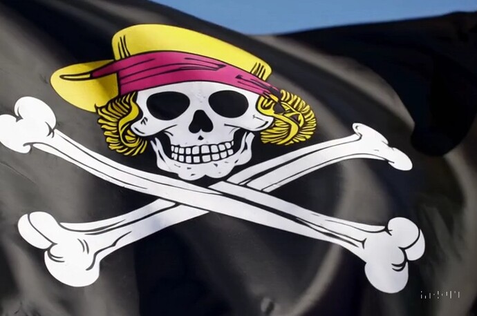 Piraten-Sperren, Flagge