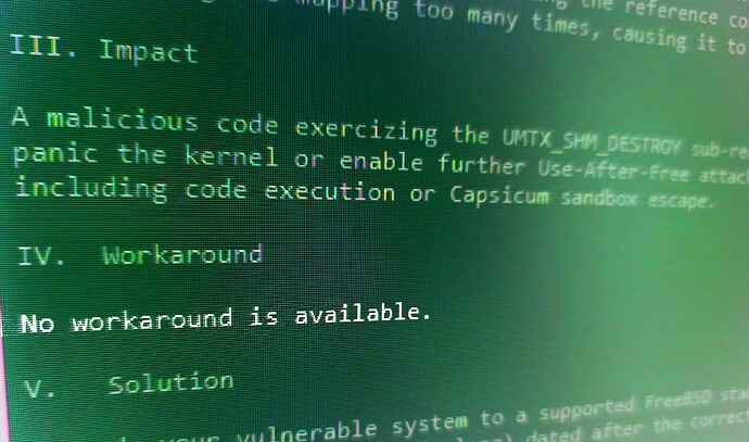 PS5 Kernel Exploit