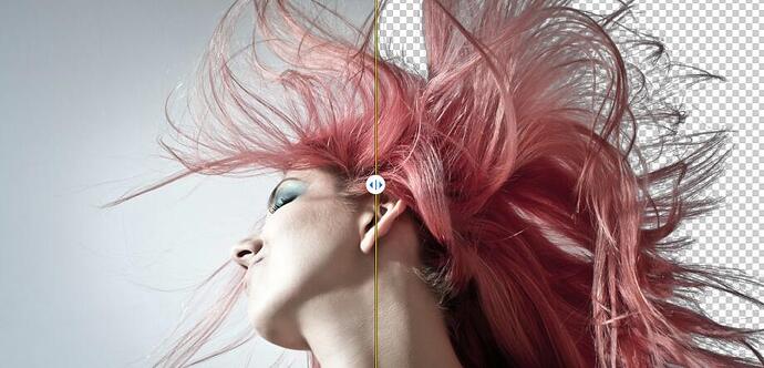 Aiarty Image Matting