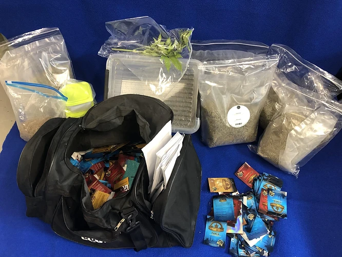 Sicherstellungen-1-scaled