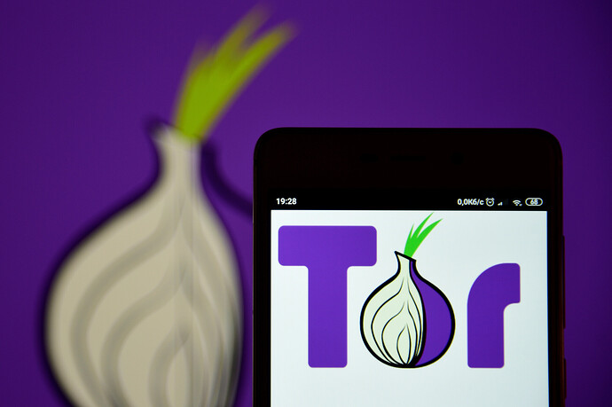 Gegen Zensur: Das Tor-Browser-Logo auf einem Smartphone