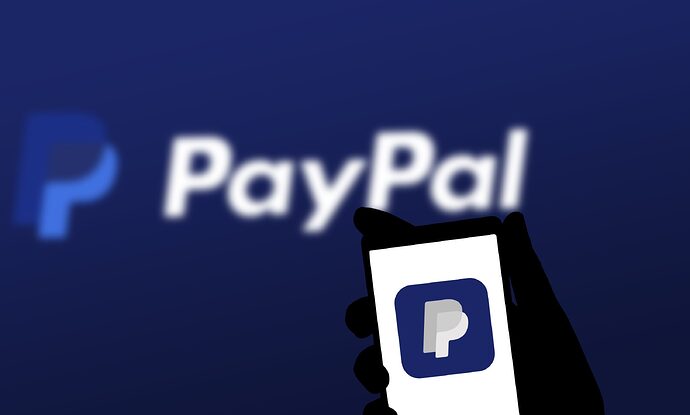 Online-Zahlung mittels PayPal