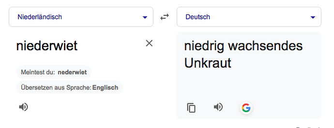 Bildschirmfoto 2026-03-03 um 17.07.39