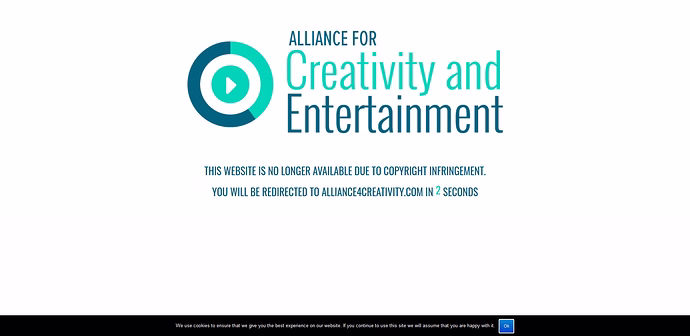 ace-piraten-jaeger-wollen-erneut-inhaber-von-29-domains-enttarnen