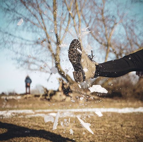 kiwifarms-net-ohne-lizenz-xenforo-kuendigte-vertrag