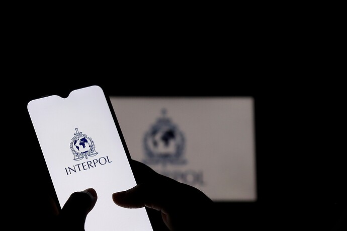 Ein Smartphone mit dem Interpol-Logo auf dem Display