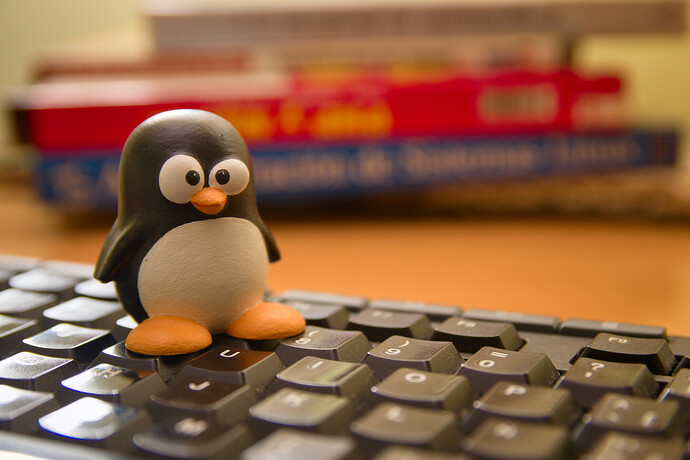 Ein Tux-Pinguin auf einer Tastatur