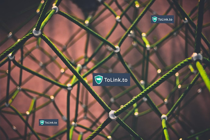 tolink-to-interview-geld-verdienen-stand-fuer-uns-nie-an-erster-stelle