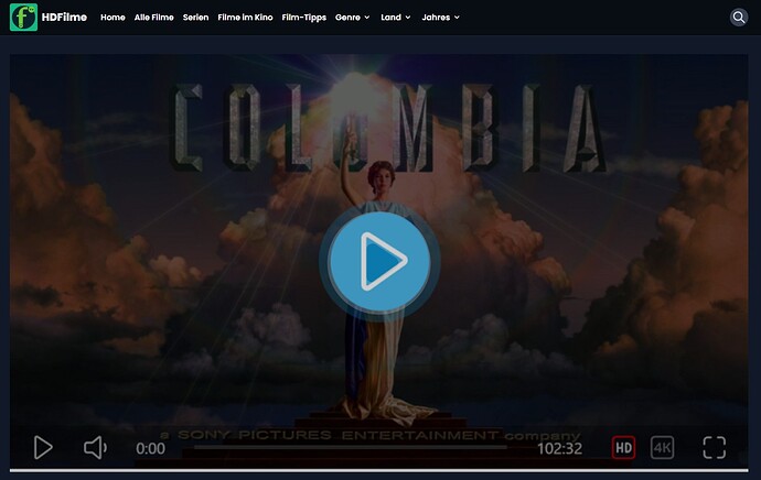 HDFilme Download Anleitung, Unterseite bei hdfilme.to, Serien & Filme downloaden
