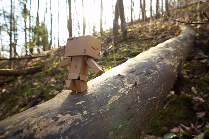 amazon-eingeschraenkte-lizenz-zum-anzeigen-von-videoinhalten