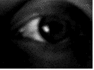 augen-073