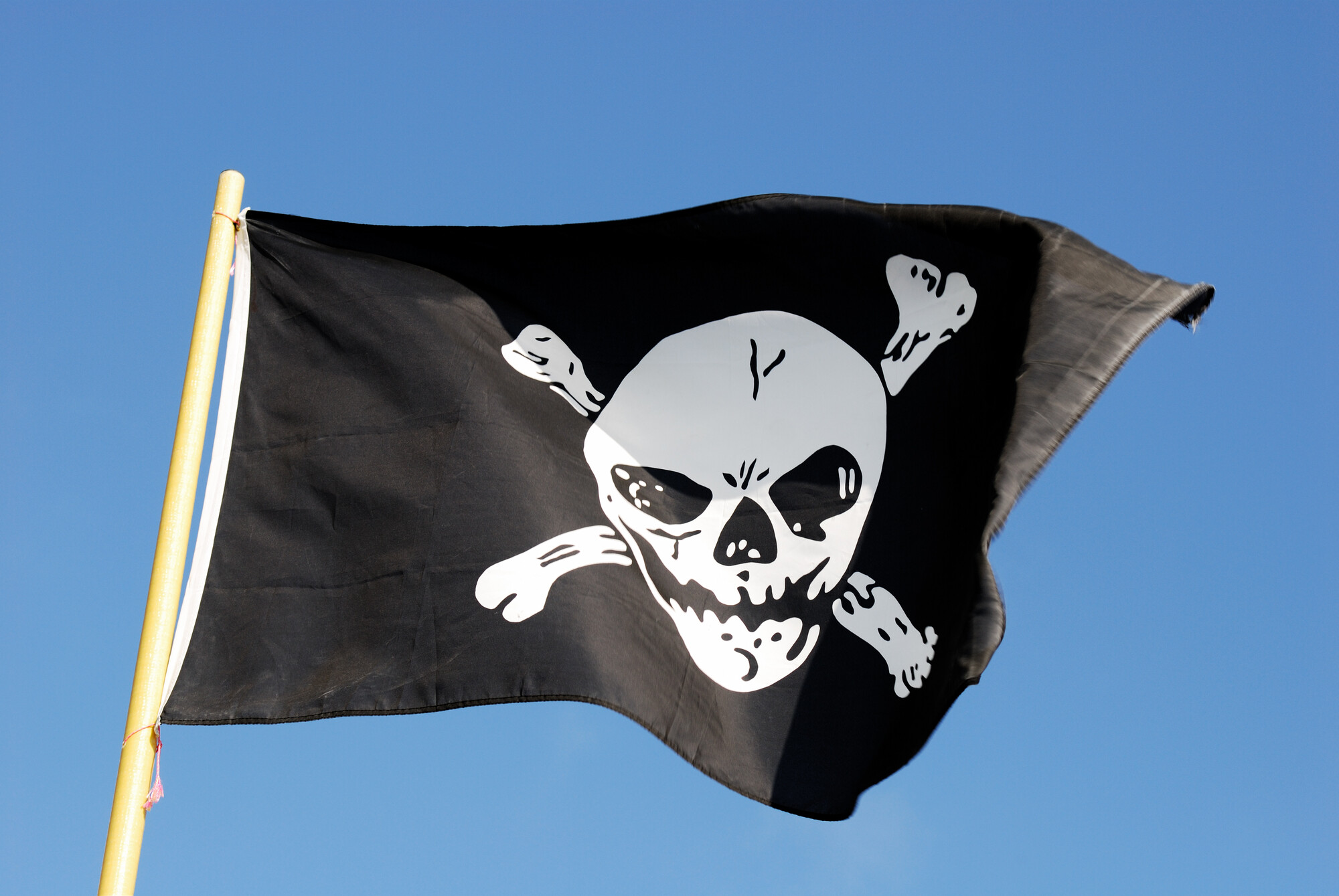 Флаг пиратов Сомали. Пиратский флаг Сомали. Пиратский флаг в виде кота. Роджер флаг пиратов. Черный флаг 1