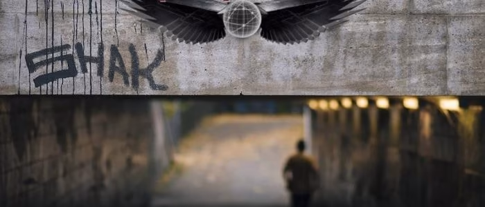 brothers-of-usenet-forum-fragen-fuer-interview