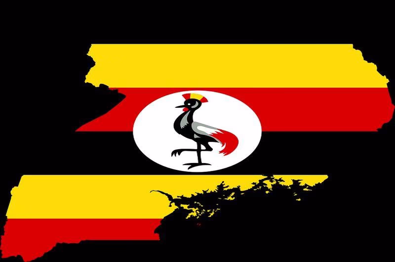 uganda-einfuehrung-einer-social-media-steuer-und-deren-folgen