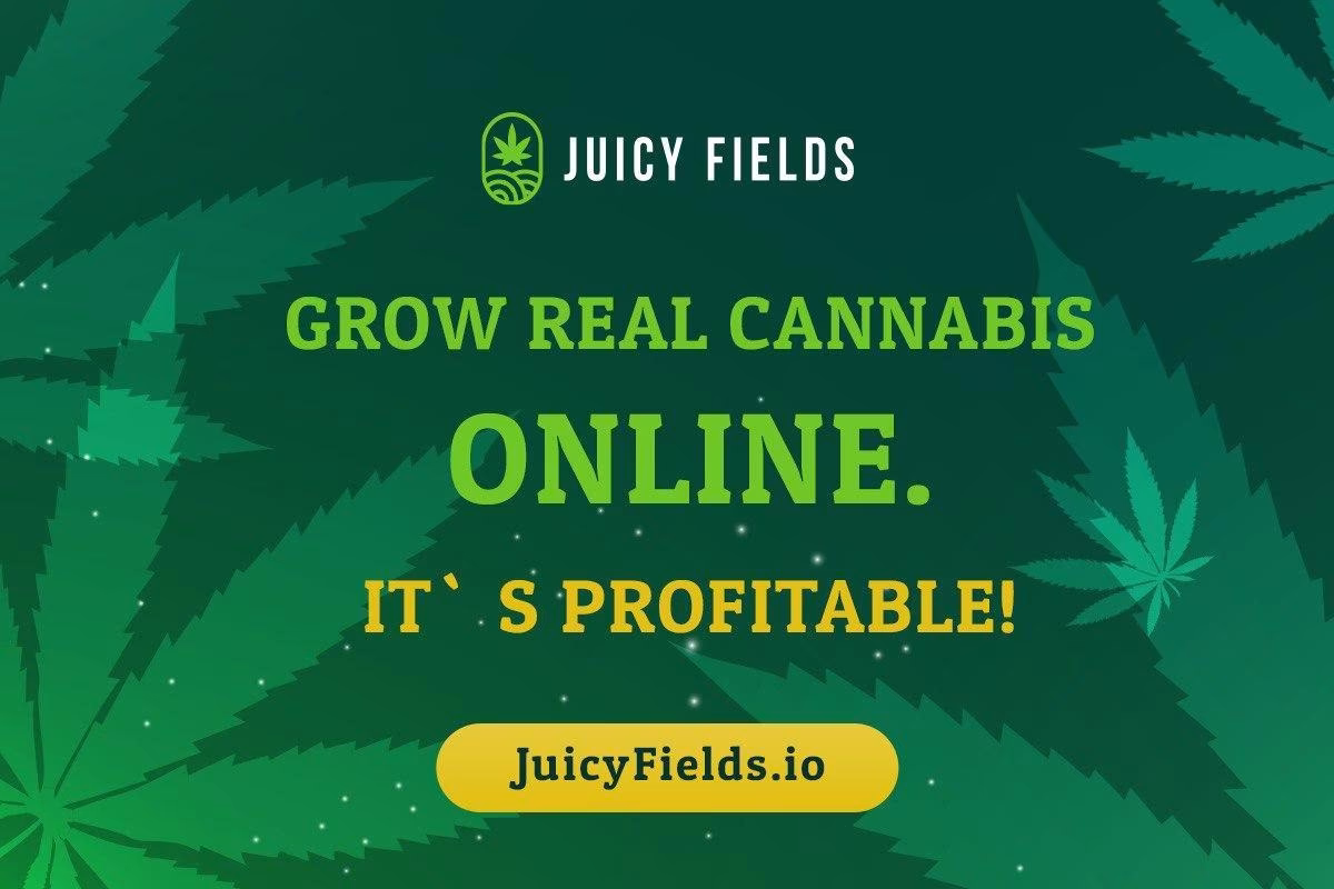mit-juicy-fields-zum-legalen-cannabis-bauer-werden