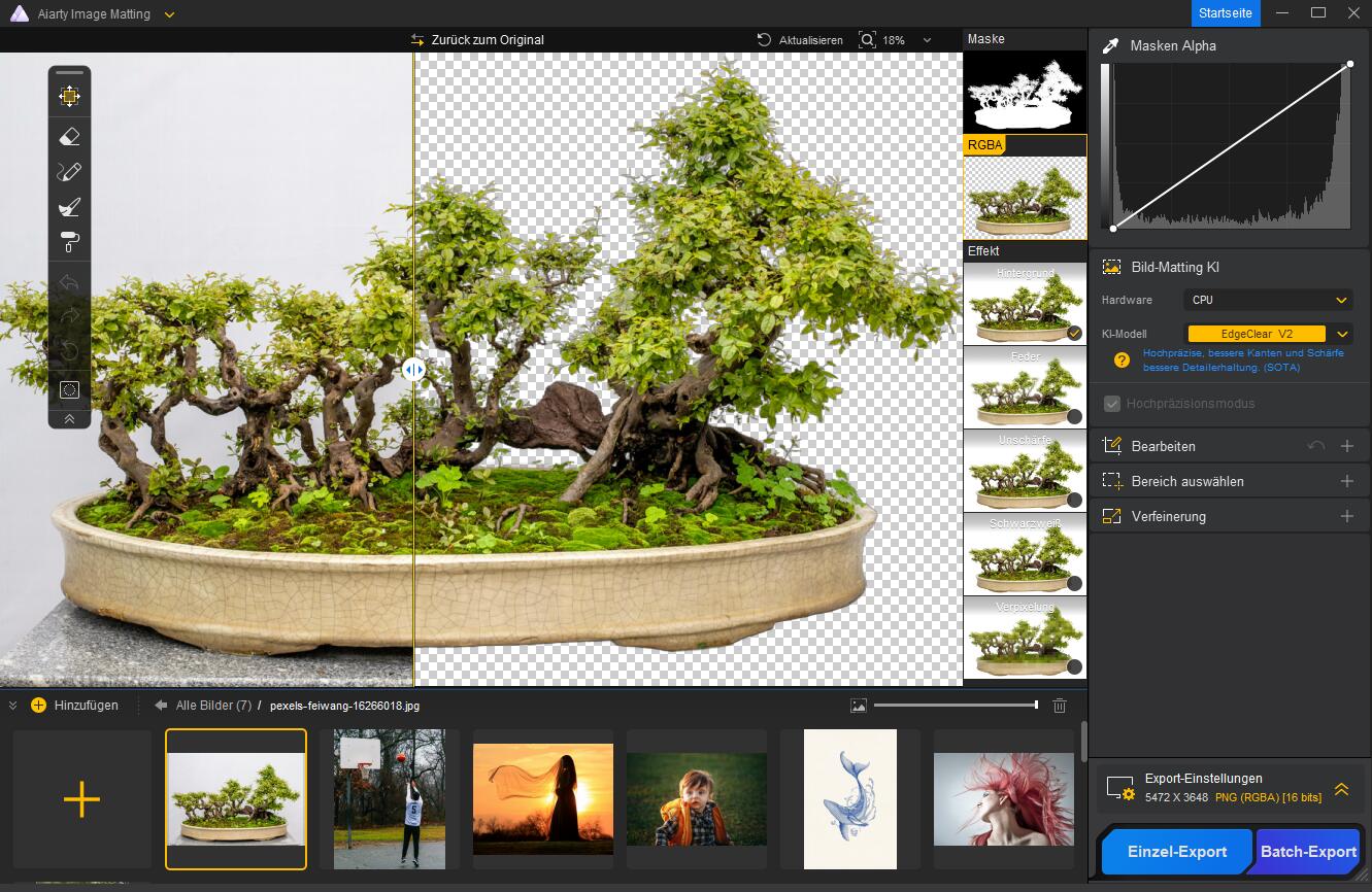 Aiarty Image Matting