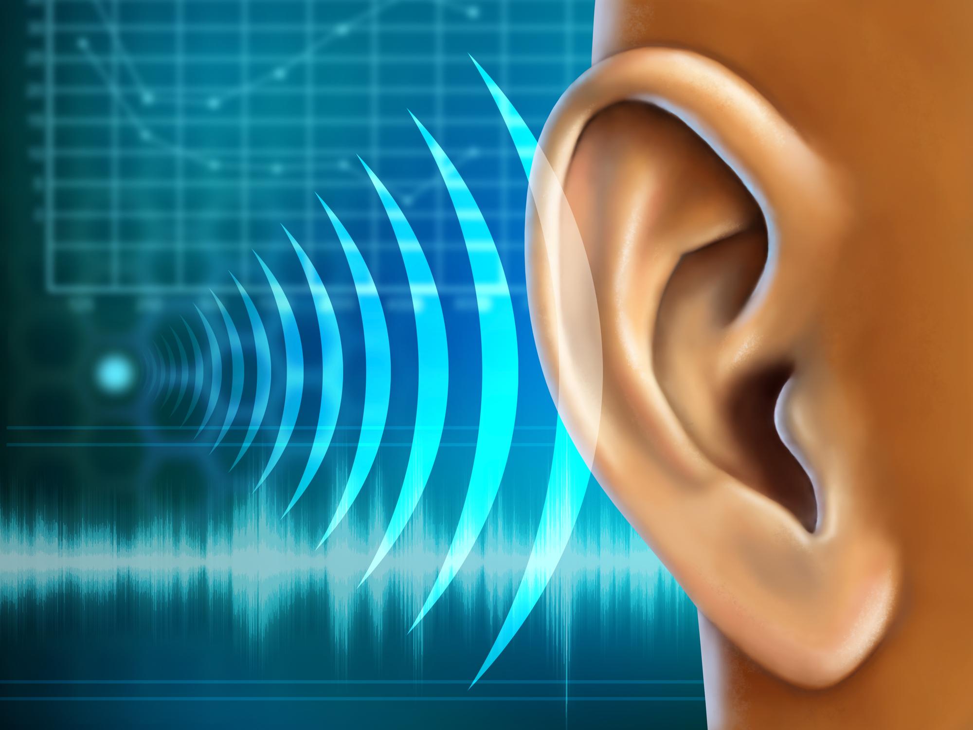 3D-Biodruck: Technologie ermöglicht erstmals Ohr-Transplantationen