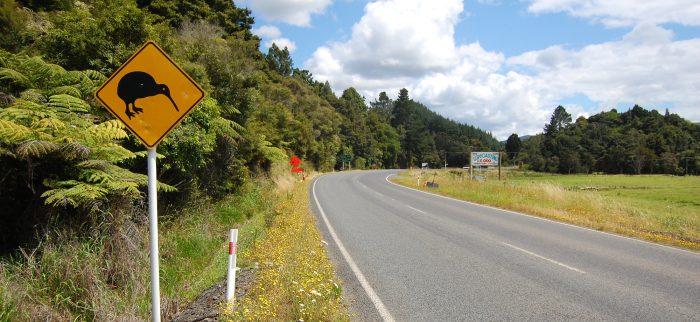 Gelbes Kiwi-Vogel-Straßenschild am Straßenrand in Neuseeland