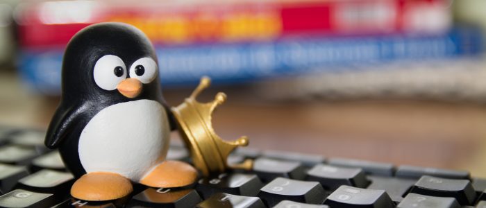 Tux, Figur des Linux Free Software Symbols neben einer Krone auf einer Computertastatur