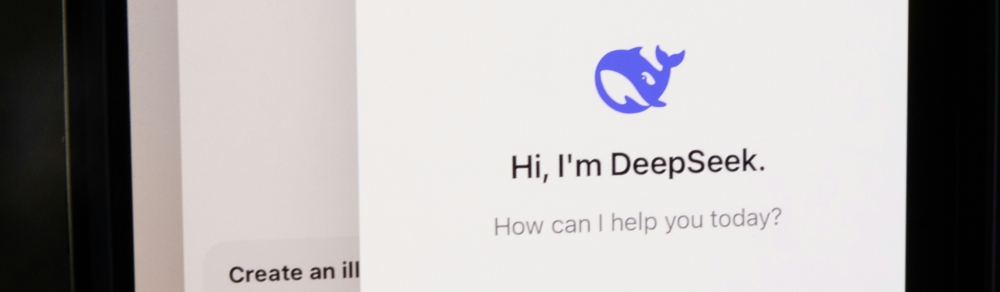 Deepseek, Begrüßung der App