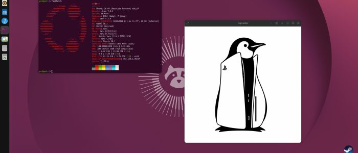 PS5-Linux-Hack