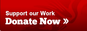 donate now