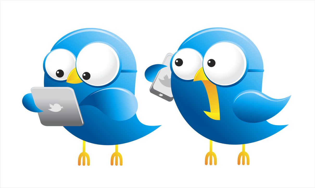Zwei Twitter-Vögel