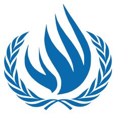 UNO-Menschenrechtskommissar