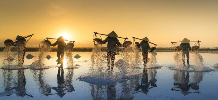 Vietnamesen bei der Salzernte im Wasser