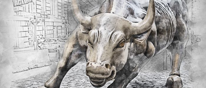 Bull, Wall Street