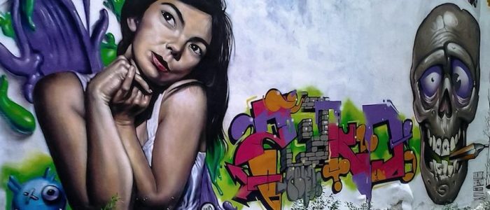 Björk, Grafitti, Wall, Skull