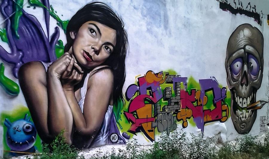 Björk, Grafitti, Wall, Skull