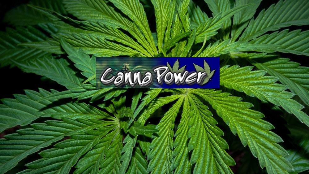 CannaPower Logo