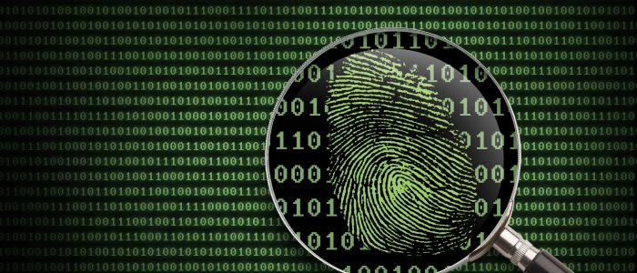 Cybercrime, Fingerprint