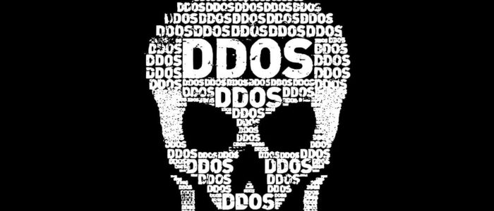 ddos, skull