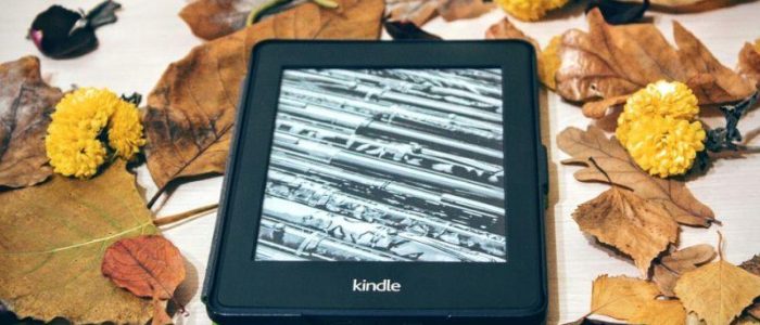 E-Book-Quartalsbericht