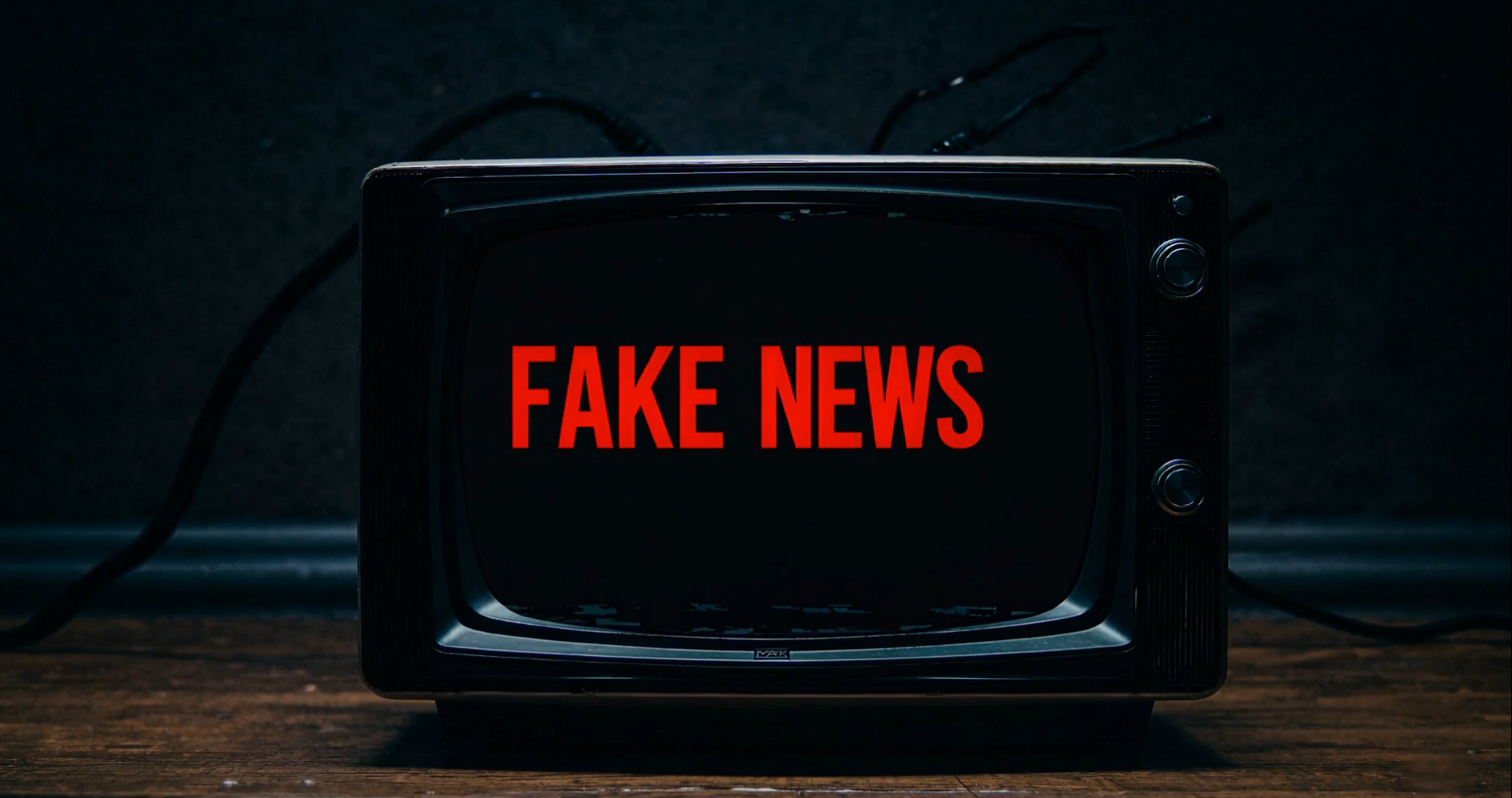 Medienkompetenz, Fake News
