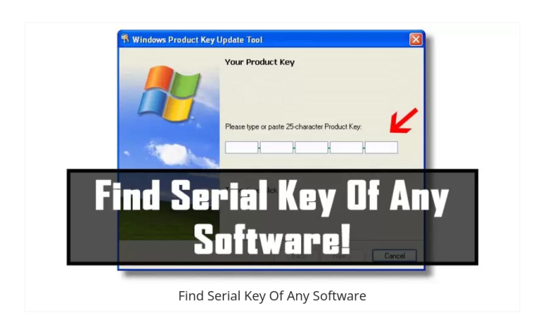 cracks and keygens and serials free downloads