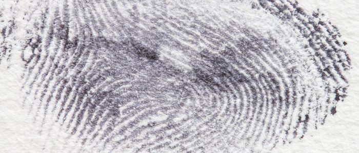 Fingerabdruck, Fingerprint